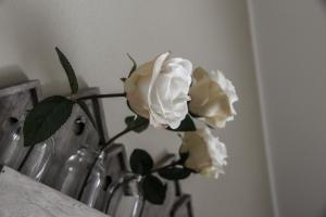 Ubytovanie Pri Ceste