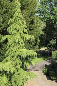 Ferienwohnungen direkt am Wasser