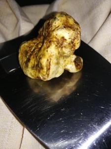 Nido delle Rondini hotel Ristorante Pizzeria