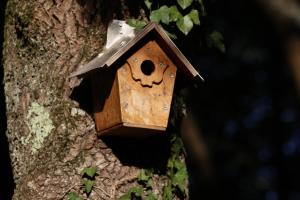 Maisons de vacances Gite des Chenes : photos des chambres