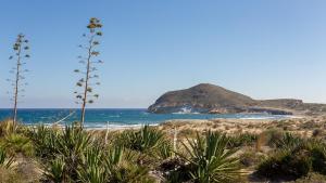 Hostal Asensio Nijar