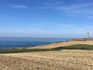 Maisons de vacances La Grange du Flot : photos des chambres