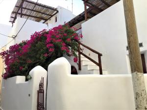 Tsigonias Traditional Villa Paros Greece