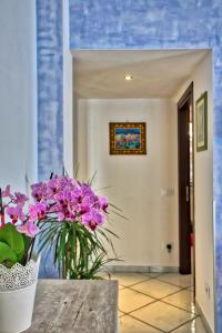 DOMUS VIGNA Fusco, Vista Mare, Amalfi Coast