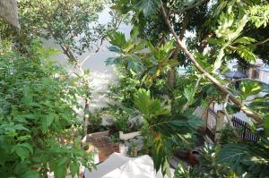 Moon house tropical garden - West side