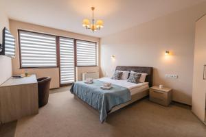 Superior Double Room room in Pensiunea Select Central