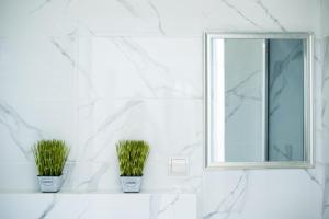 Deluxe Apartment in old city center