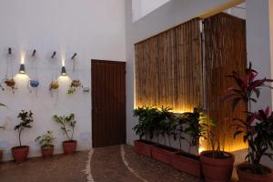 Green Roof - Family Room