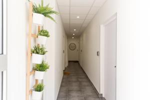 1Stays Apartments - Chabaud photo 12