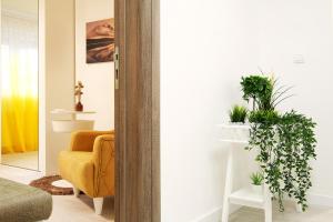 Apartment Paradise SunShine