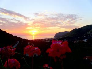 Thats Amore Cilento Country House