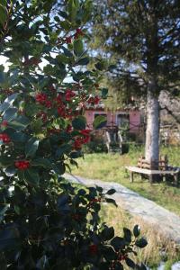 LA PETITE MAISON DANS LA FORET Pelion Greece