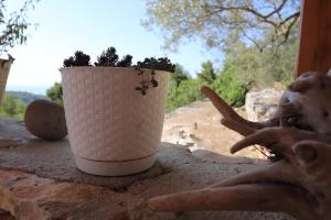 Greenside Cottage Lumi