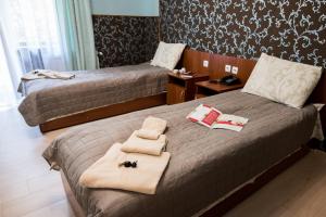 Standard Twin Room room in Zelenyy Bir