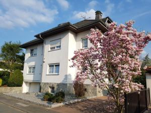 Apartmán Dreieich-Buchschlag, Breitseeweg Dreieich Německo