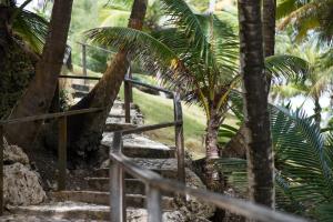 Tent Bay, Bathsheba BB21054, Barbados.