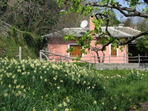 LA PETITE MAISON DANS LA FORET Pelion Greece