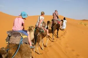 Merzouga Camp and Hostel - Adrouine
