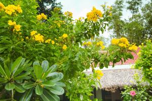 An Bang Purple Homestay