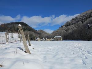 B&B / Chambres d'hotes Moulin des Borderies : photos des chambres