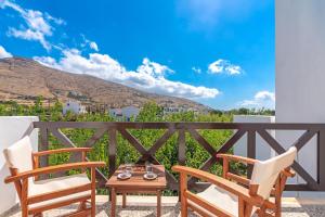 Villa Sofia Andros Greece