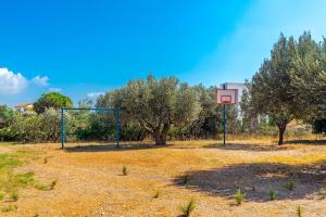 Villa Sofia Andros Greece