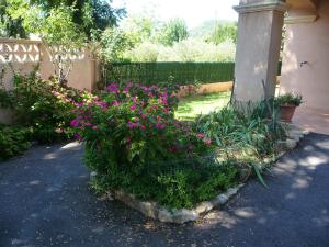 Appartements Le coin tranquille : photos des chambres