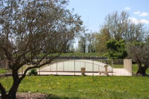 Maisons de vacances Mas des Cigales : photos des chambres