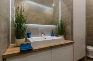 Modern, luxury flat in the heart of Budapest