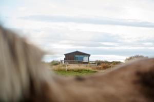 Hestaland Riverside Cottage