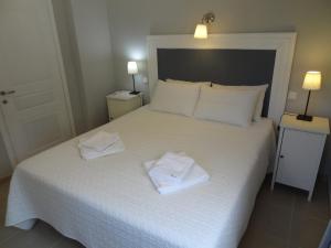 Villa Elaia Suites & Apartments No.2 Paxoi Greece