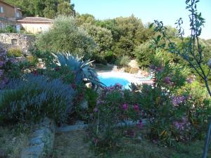 B&B / Chambres d'hotes Mas des Citronniers : photos des chambres