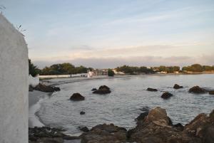 Sardegna Pittulongu img10