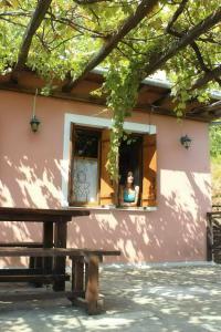 LA PETITE MAISON DANS LA FORET Pelion Greece