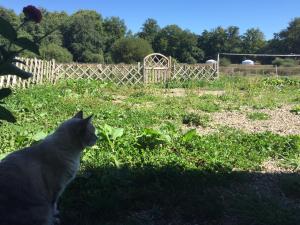 Campings Cabane Escargot du centre UnisVers : photos des chambres