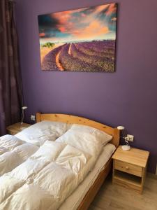 SOWA apartamenty