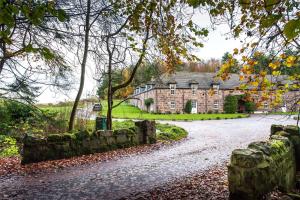 Dunnottar Woods Cottage
