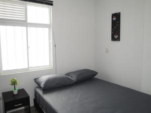 Santa Isabel Centro 401