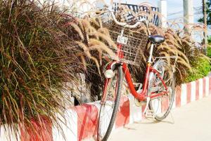 APA-TREE Boutique Hotel