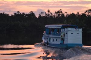 houseboat kelotok bee