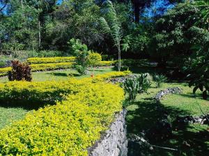 Jabbitos Baguio Transient House BUNGALOW