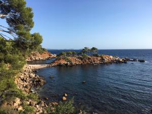 Bandol parc photo 6