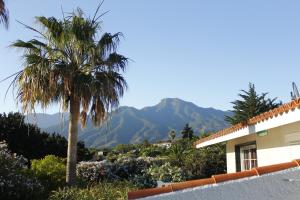 Casitas Vista Valle Alto