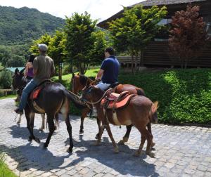 Plaza Ecoresort Capivari