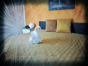 B&B Il Mandorlo