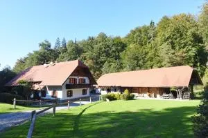 Domačija Šeruga Countryside hotel - Trška Gora