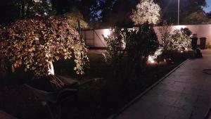 tolles komfortables Appartement Zaubersee