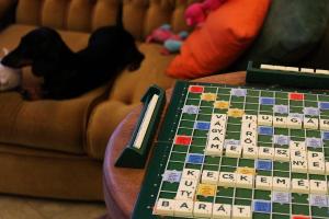 HAPPY COLOURS in Old Town