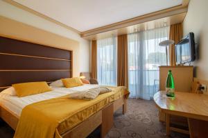 Small Double Room room in Grand Hotel Donat Superior & Wellness Center