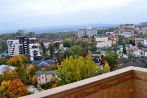 Sunny apartment in the city Center